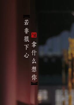 双影 《如懿传》主题曲 -- 张惠妹 & 林忆莲