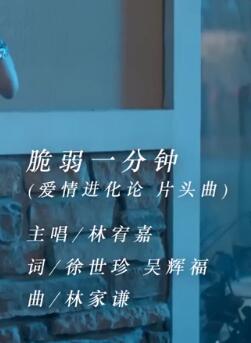 脆弱一分钟 电视剧《爱情进化论》片头曲 -- 林宥嘉