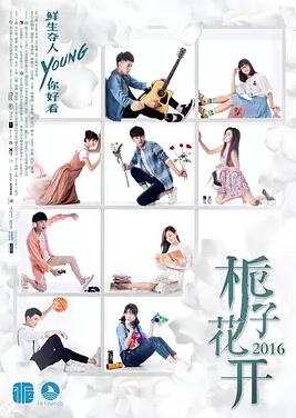 栀子花开2017