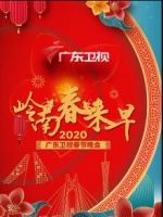 2020广东卫视春晚