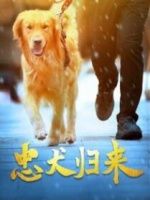 忠犬归来