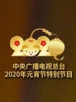 2020央视元宵节特别节目 